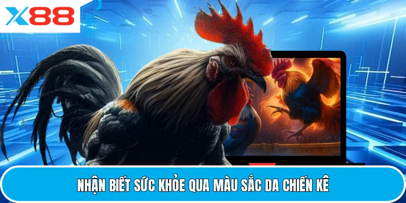 Nhận biết sức khỏe qua màu sắc da chiến kê